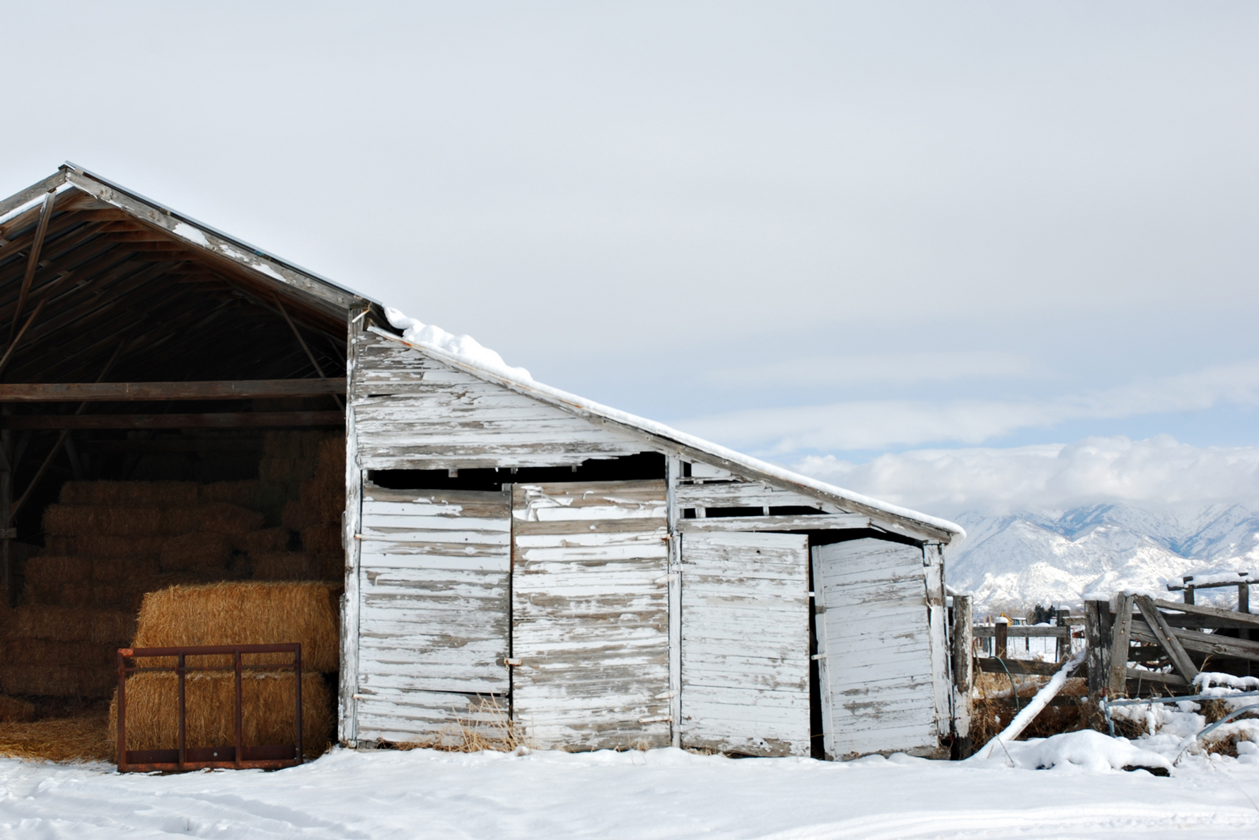 Winter-Readiness: How Cameras Help Farmers & Ranchers Stay Ahead