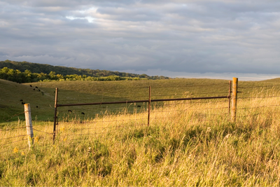 Wire Gates – Lightweight, Simple, and Time-Tested