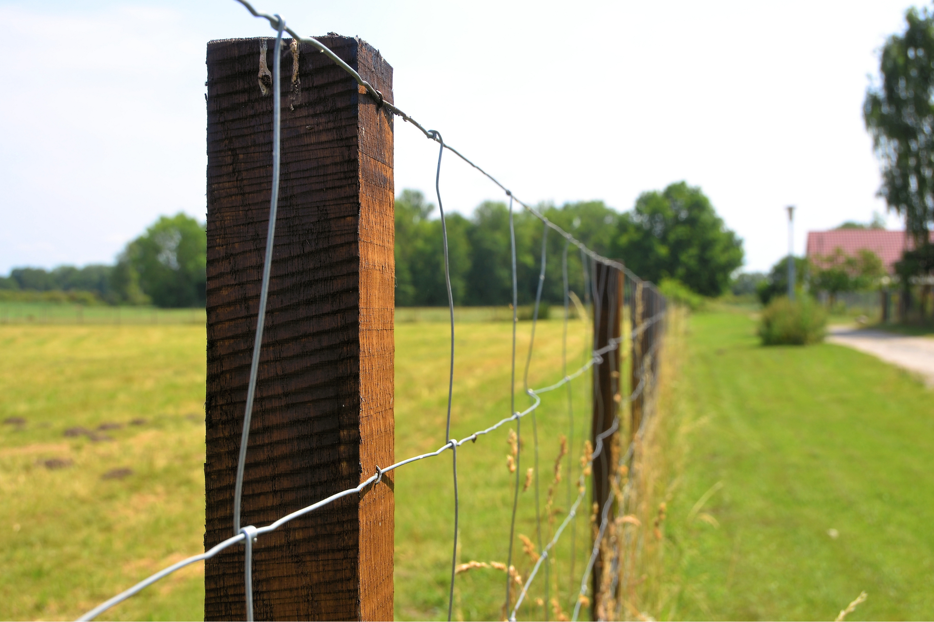 Woven Wire Fencing: A Reliable Choice for Livestock Protection – Barn ...
