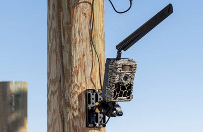 Capturing Nature with Mini Outdoor Cameras