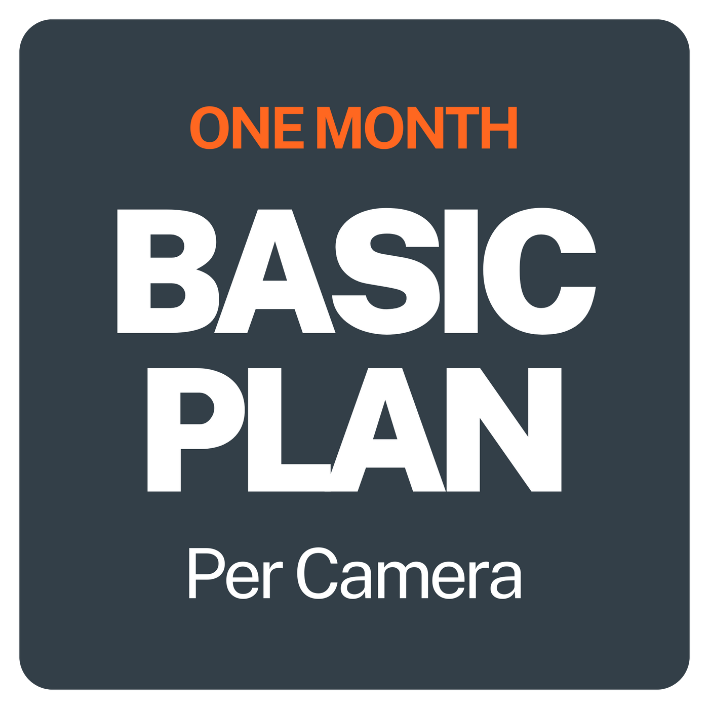 Basic Plan - 1 Month Free