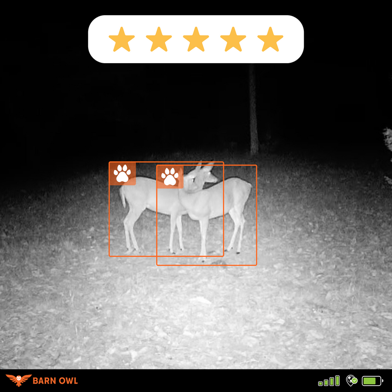 Hunting & Game Management