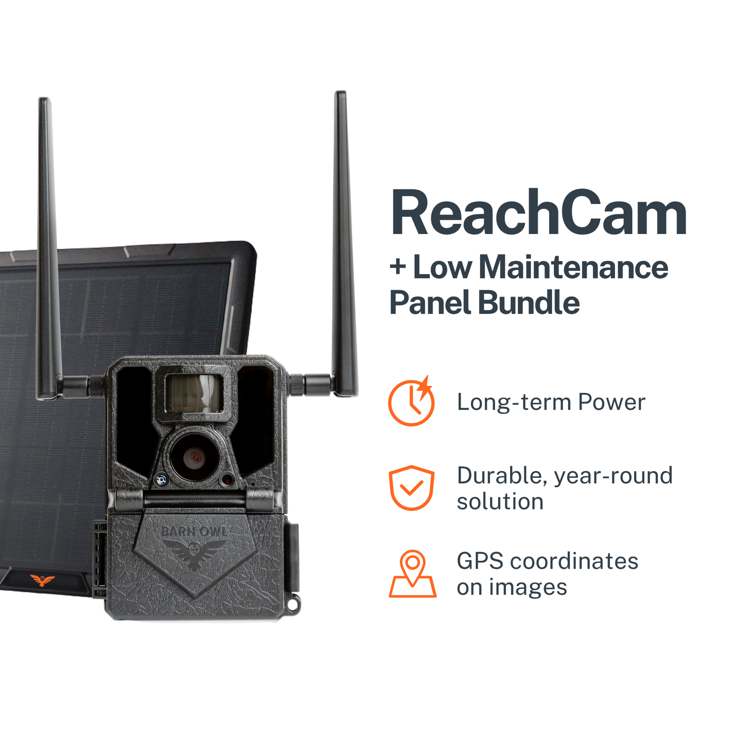 ReachCam