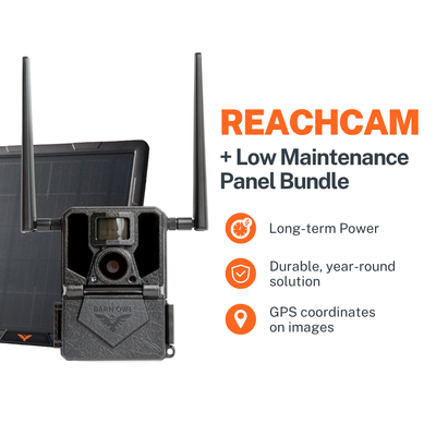 ReachCam (GPS)