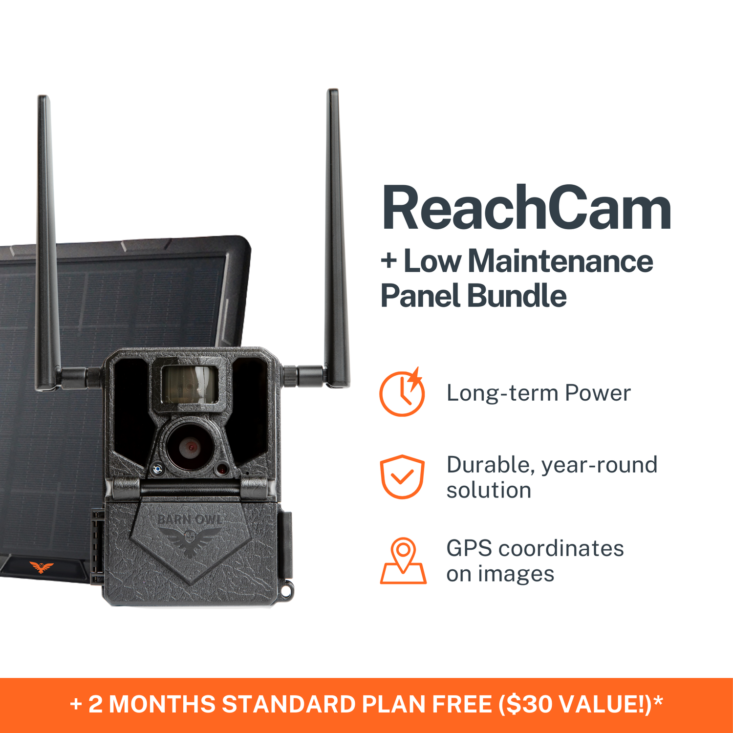 ReachCam