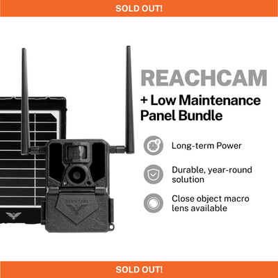 ReachCam