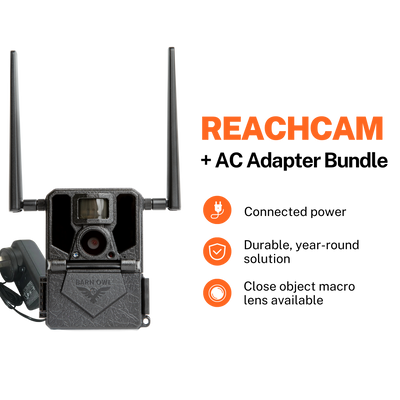 ReachCam