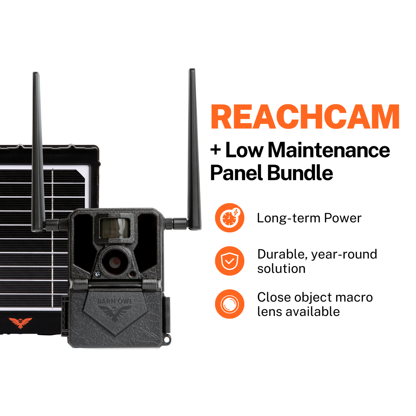 ReachCam