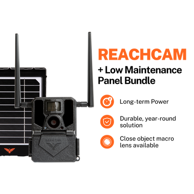 ReachCam