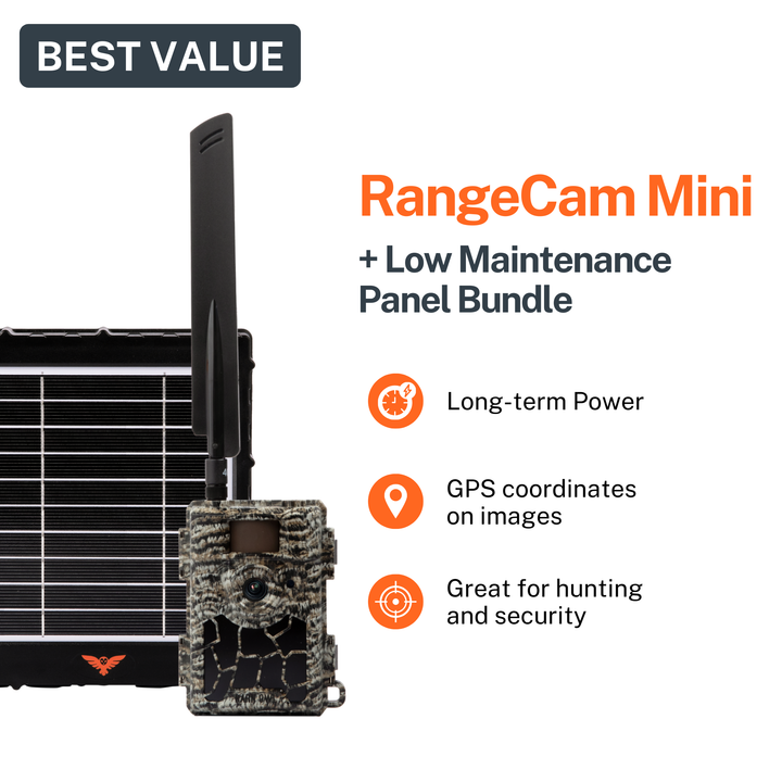 RangeCam Mini | Surveillance Camera | Barn Owl – Barn Owl Tech