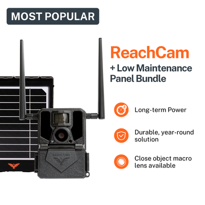 ReachCam