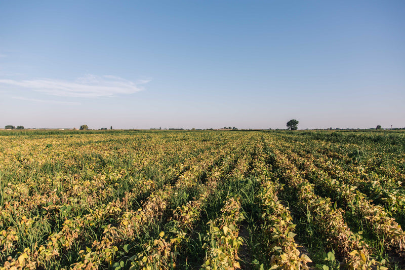 Farming & Irrigation