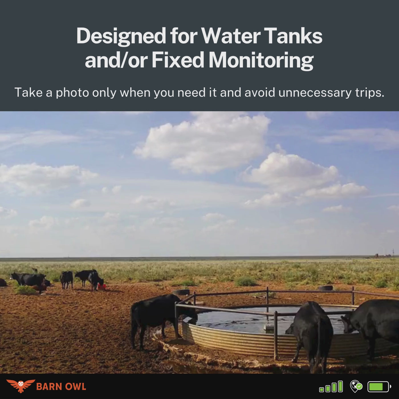 Water Tank Bundle – Buy 2 Get 1 FREE