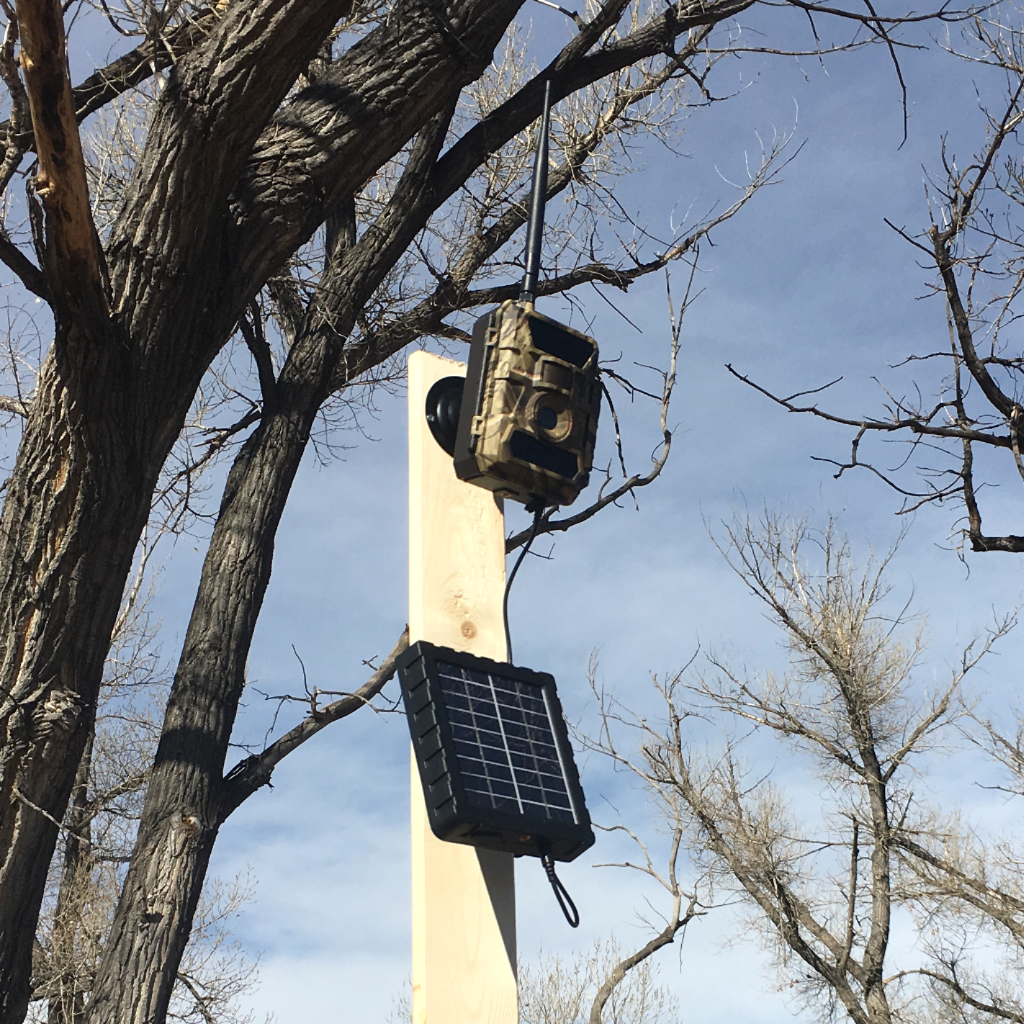 Short Term Solar Panel